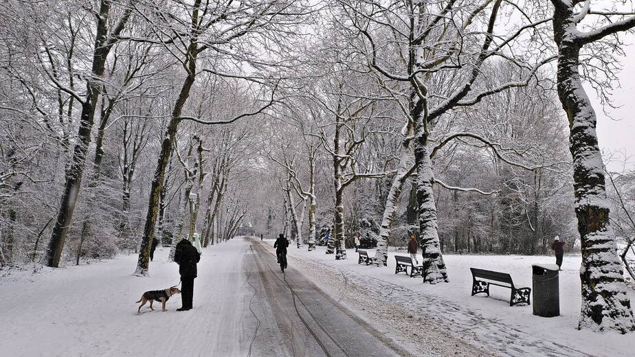 Platanenlaan in de sneeuw Platanenlaan in de sneeuw