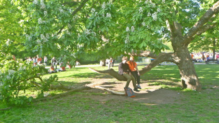 photo/22e732b1-fbb5-4037-a04c-53cf0839a8fa-3