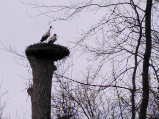 photo/4838976a-f415-4b6d-b00b-567d61120633-3