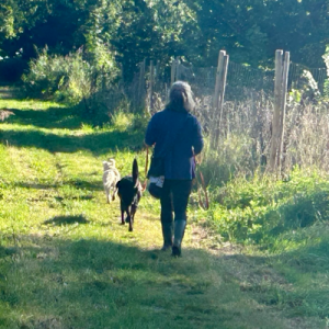 Ellis 🐕‍🦺🐈‍⬛