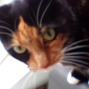 🔴🔴 Jeffrey 🔴🔴