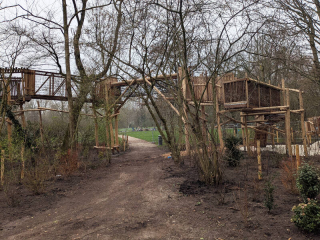 photo/795862ce-f474-47d0-b6d5-318c9fbc1c3b-3