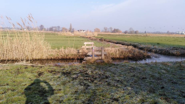 Drassig weilandpadg Drassig weilandpadg