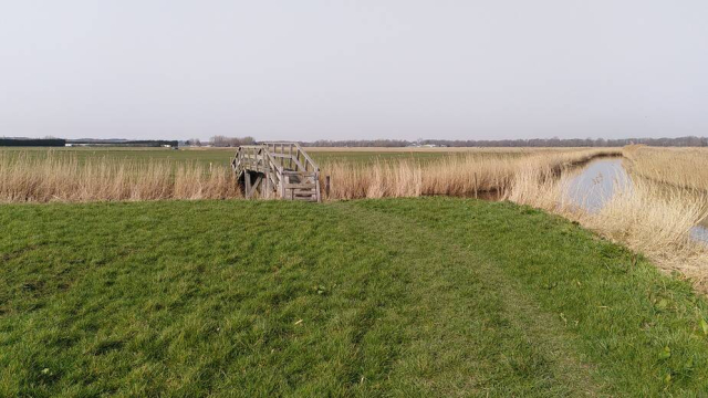 Grasdijk op het Monnikspad Grasdijk op het Monnikspad